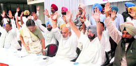 State Congress delegates empower Sonia Gandhi unanimously to appoint the state party chief, in Chandigarh on Sunday