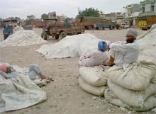 Farmers in the Bathinda cotton market cover their harvest and wait for auction to begin, as it drizzled on Monday. 