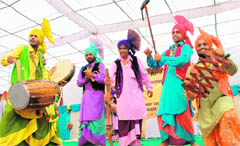 Students perform during the zonal youth and heritage festival at Government College, Sector 11, Chandigarh