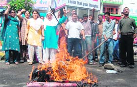 Members of the Panchayat Parishad burn an effigy of the state government in Dehradun
