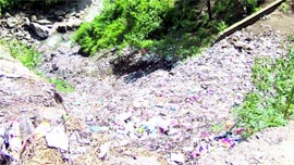 Garbage dumped on a hill near the Hathli khud.