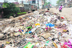 A view of garbage in Ambala Cantonment.