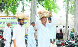 A farmer carries seed of improved varieties purchased at the Haryana Agricultural University mela in Hisar. 