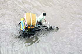 A rickshaw puller passes through a waterlogged road in Patiala
