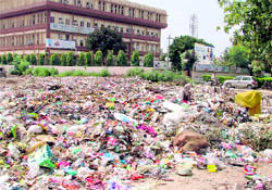 A view of the garbage dump next to the LIC office and opposite a school in Ludhiana