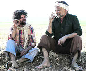 Peepli Live depicts contemporary rural India in its true form