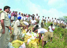 SSP Narinder Bhargav supervises the protection work of the dhussi bundh at Burj Tehal Dass village in Nawanshahr.