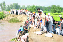 Villagers and government employees strengthen the dhusi bundh near Gadra and Bhode villages in Nurmahal sub-tehsil on Saturday.