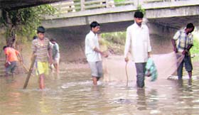 Migrants catch fish by killing them with bricks and sticks under Jandali Bridge on the Bathinda branch of Sirhind canal near Ahmedgarh
