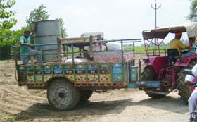 A farmer of a flood-prone village in Hussainiwala pocket of Ferozepur district migrating to a safer place along with his belongings. A Tribune photograph