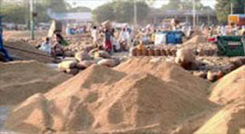 Arrival of paddy has begun at the Moga grain market.