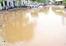 A view of standing water on a road in ward No. 8 of Khanna.