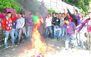 Activists of the SFI burn an effigy of a government college lecturer in Shimla on Wednesday. The lecturer was accused of misbehaving with students. 