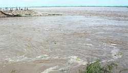 The Yamuna in full spate in Karnal district