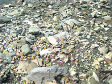 Bread packets rot on the Nainital-Almora road