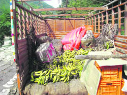 A truck carrying bananas stranded on the Chara-Kwarab stretch. 