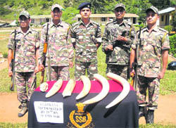 SSB jawans with the seized ivoryat Dharchula in Pitthoragarh
