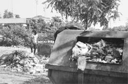 With dustbins full to the brim, garbage remains littered in Mohali.