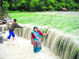 Crops bear the brunt of the flowing water at Pinrau village in Almora district