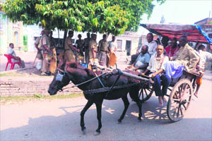 Devotees travel in a horse cart as security personnel stand alert outside a temple in Ayodhya.