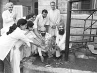 Volunteers plant herbal saplings at Gulmohar Trends, Dhakoli, on Saturday