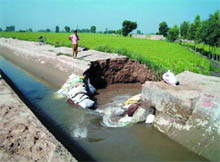 The breach in Ladhuka distributary on Saturday.