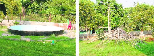 A fountain and a fancy tree lie non-functional at one of the parks in Ludhiana.