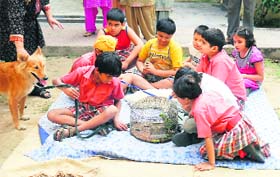 Special students of Darpan celebrate the World Animal Day with pets in Ludhiana