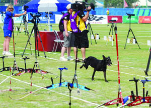 A dog enters the archery ground of the Yamuna Sports Complex during a CWG match in New Delhi on Tuesday.
