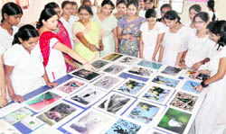 Students look at an exhibition of photographs at Kanya Gurukul in Haridwar on Wednesday