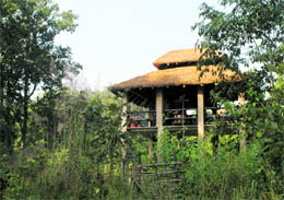 A machhan at Camp Forktail Creek at Bhakrakot village