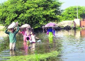 Troubled waters: Residents wade through accumulated knee-deep water in Sundana village of Rohtak