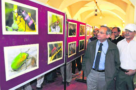 Onlookers have a glimpse of a photo exhibition organised by the Forest Department at Gaiety Theatre in Shimla on Wednesday.