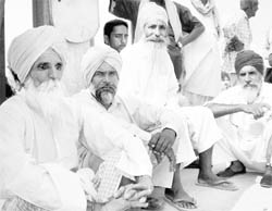 Cotton growers narrate their woes at the main cotton yard in Bathinda. 