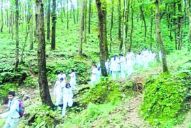 Students of the Dolphin Institute walk through a sal forest during the Wildlife Week