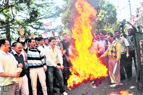 Activists of the Bhartiya Janata Yuva Morcha (BJYM) burn the effigy of Rahul Gandhi in Shimla