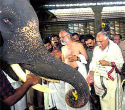 Karnataka CM BS Yeddyurappa feeds an elephant after paying obeisance at the Rajarajeswara temple, Kannur, on Thursday