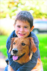Dog waste needs to be disposed of from the areas where children and pets play