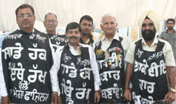 Fazilka MLA Surjit Kumar Jyani and MC president Anil Sethi wear black gowns during the protest to demand district status for the sub-division