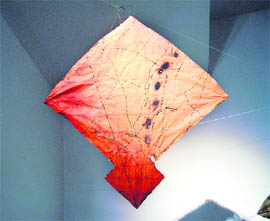 The Shadow Lines IX. Pritika Chowdhry