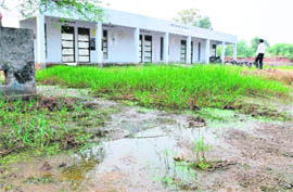 A pool of stagnating water on the premises of Government Middle School, Chhapar Chiri Khurd.