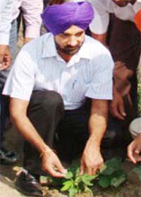 Deputy Commissioner K.S. Pannu plants a papaya sapling at Vadala Veeram village in Amritsar
