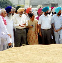 D.S. Guru, Principal Secretary to Chief Minister, at a grain market in Amritsar on Tuesday.