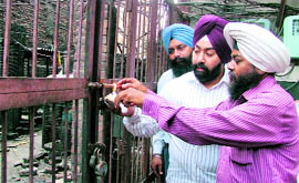 MC officials seal the area of Surya Towers on Mall Road, which was being used as a generator room in Ludhiana, on Tuesday.