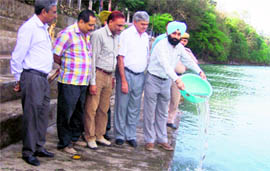 NFL and district administration officials release the first batch of fish seedlings into the Sutlej near Nangal.