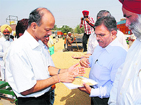 Pradeep Kumar Pujari, zonal manager, FCI, Delhi, takes stock of the paddy purchase process at the Rajpura grain market on Wednesday.