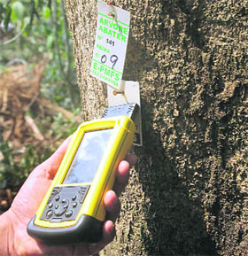 A technician reads information, transmitted from a microchip attached to a tree, with his GPS device during a presentation of the Monitoring System Electronic Tracking and Forestry project in Nova Mutum in Mato Grosso state in mid-western Brazil