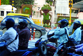 CWG over but Shera still on duty: A topiary Shera in front of the Pragati Maidan gate in New Delhi on Monday.