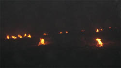 Paddy straw burning in a field on the Ferozepur-Moga road