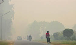 A thick blanket of smog brought visibility to almost a naught in Ludhiana